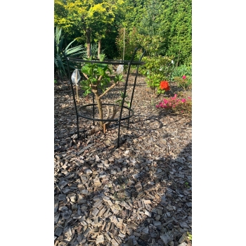 Podpora do hortensji